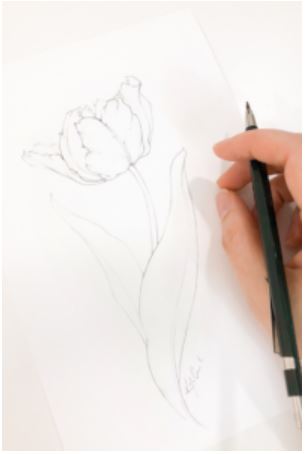 July 23 Drawing Class