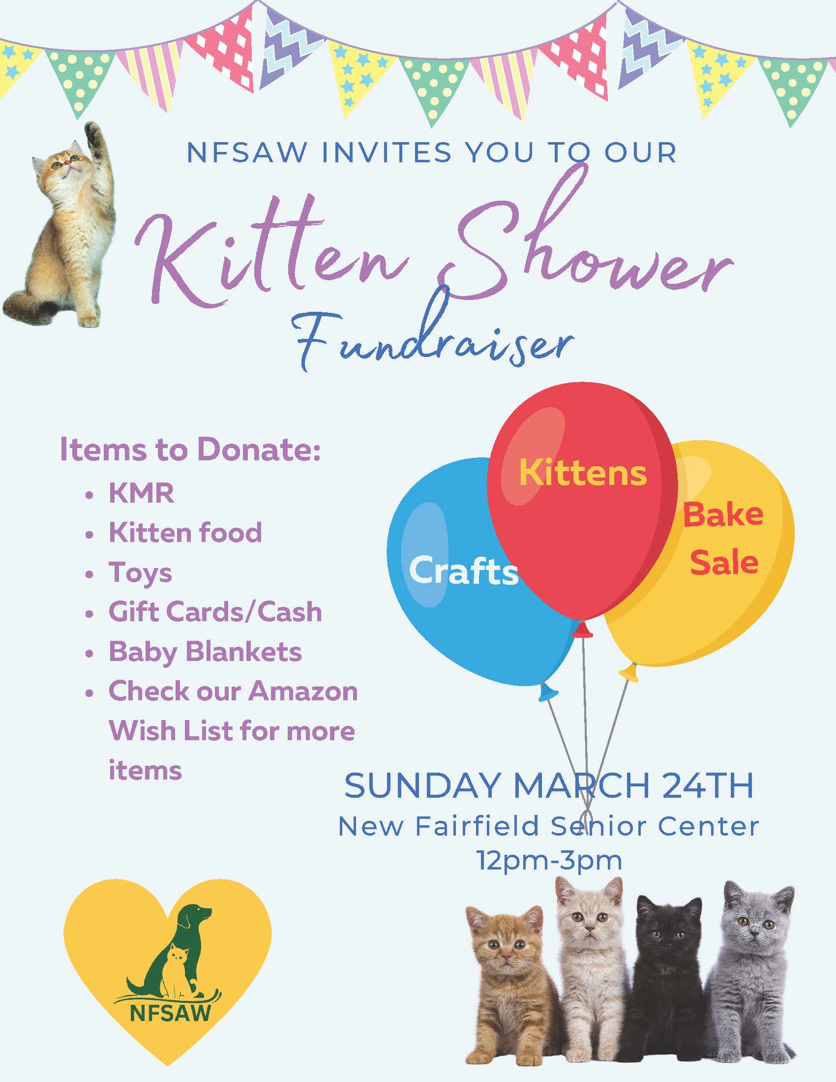 Kitten Shower Fundraiser Flyer